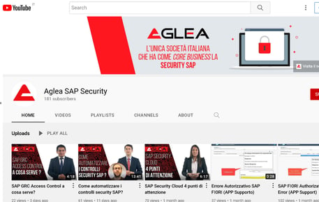 YouTube SAP Security Video