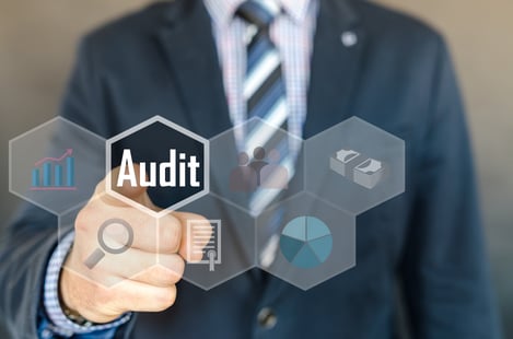audit SAP