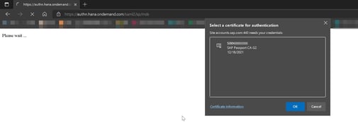 Certificato SAP Passport esempio