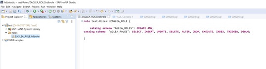 HANA_REPOSITORY_ROLE