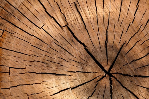 Logs
