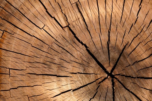 Logs