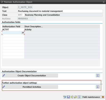Maintain Authorization Objects activity