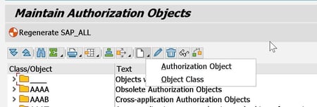Maintain Authorization Objects class