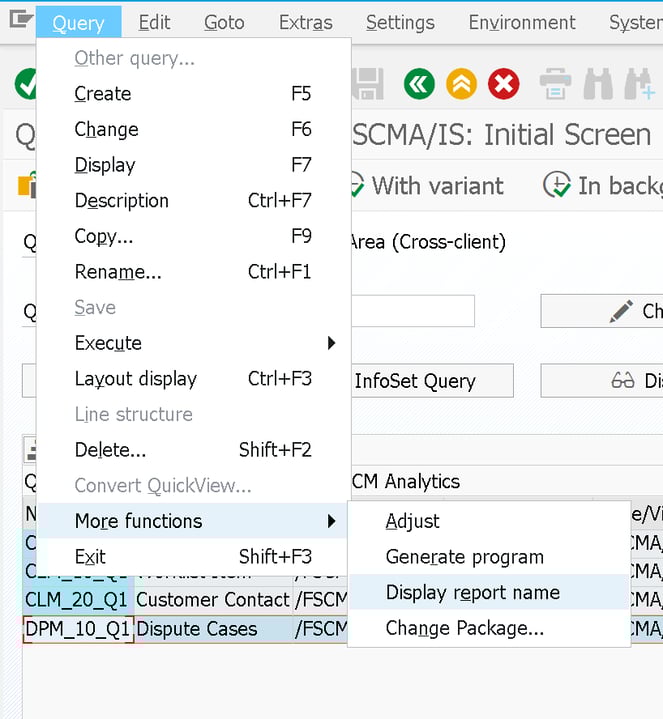 SAP Query Security