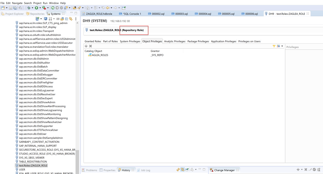 WHAT ARE SAP HANA ROLES?