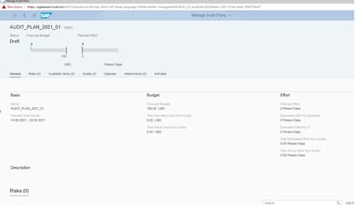 SAP AUDIT PLAN