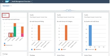SAP AUDIT REPORTING