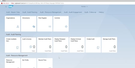 SAP AUDIT