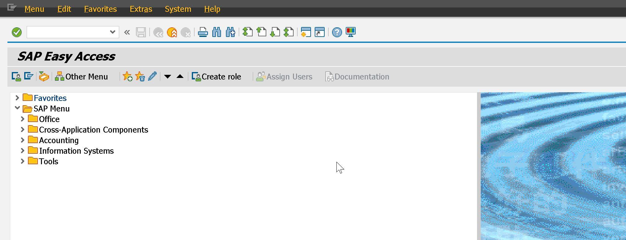 SAP Easy Access