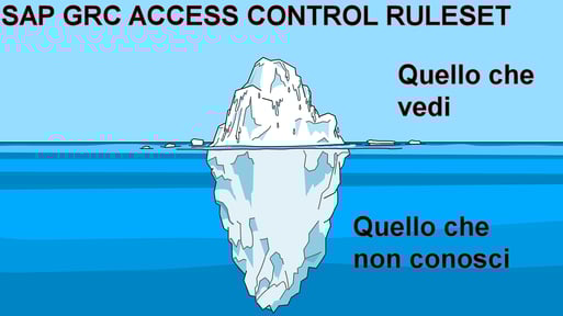 SAP GRC RULESET