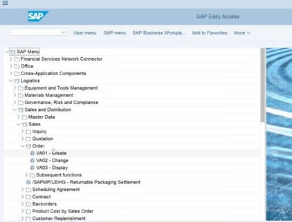 SAP GUI