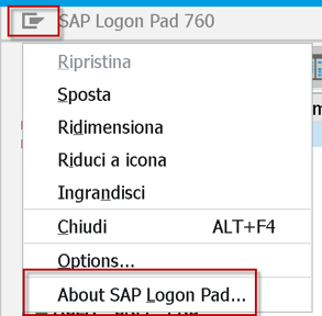 SAPGUI_VERSION