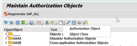 Maintain Authorization Objects class