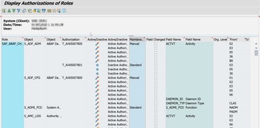 PRGN_DISPLAY_AUTH_result
