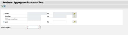 RSUSR_CHECK_AUTH_OPTIMIZATION