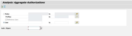 RSUSR_CHECK_AUTH_OPTIMIZATION