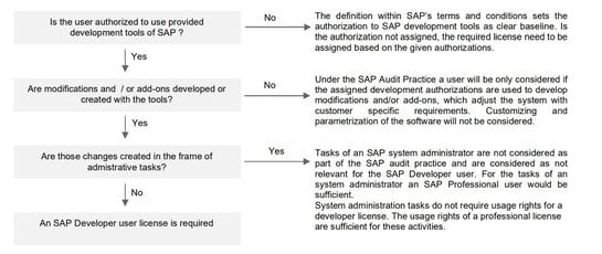 SAP Developer license