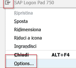 SAP_GUI_options