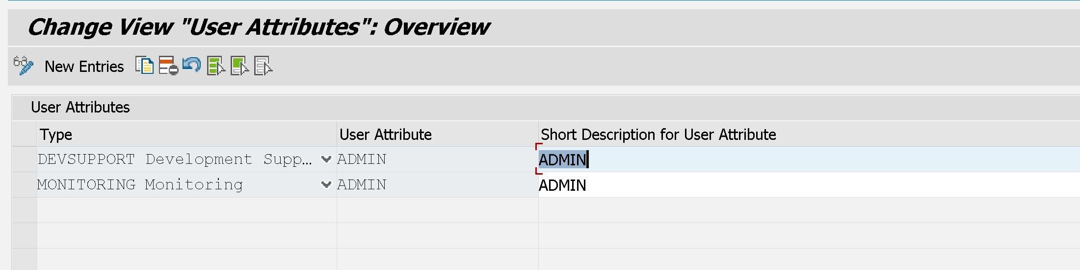 SM30_USER_ATTRIBUTES