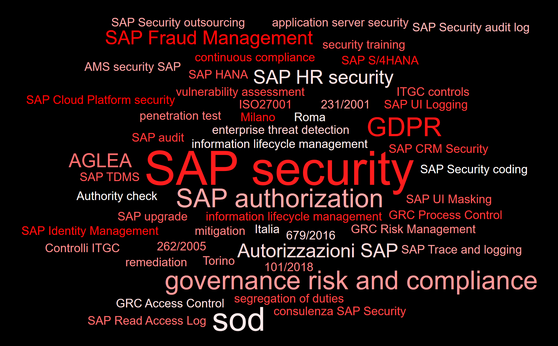 Consulenza SAP Security